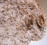 Paulownia 9503 Hybrid Seeds