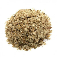 Paulownia Tomentosa Seeds